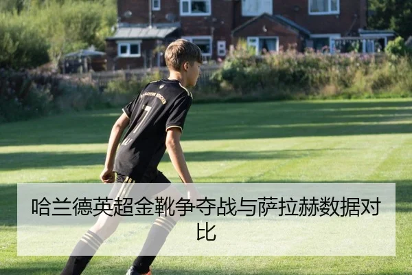 ha-lan-de-ying-chao-jin-xue-zheng-duo-zhan-yu-sa-la-he-shu-ju-dui-bi-2-383.jpg