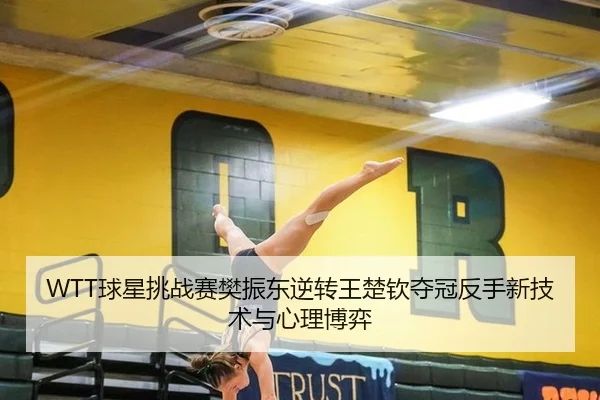 WTT球星挑战赛樊振东逆转王楚钦夺冠反手新技术与心理博弈